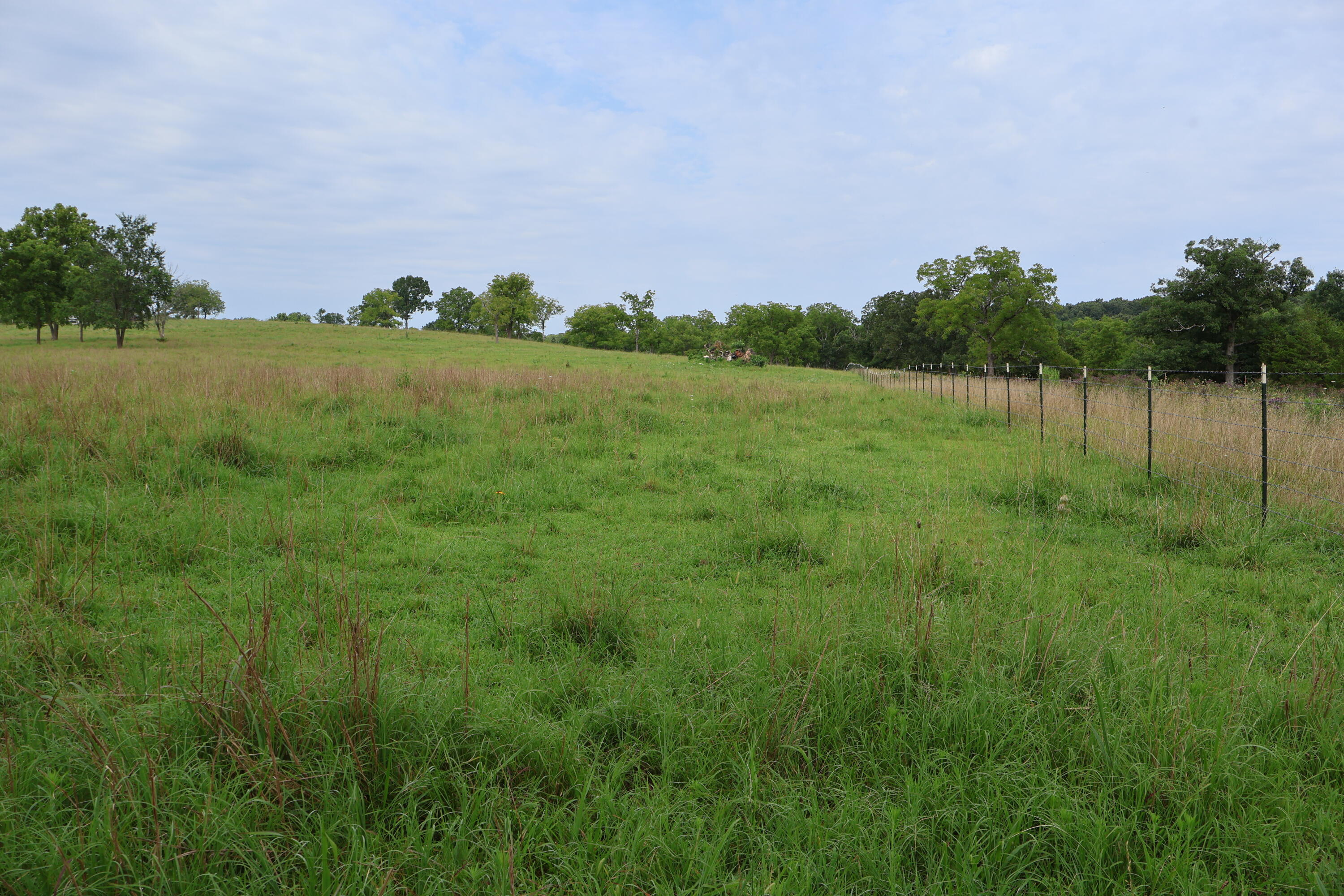 9551 State Highway Ff Property Photo 54