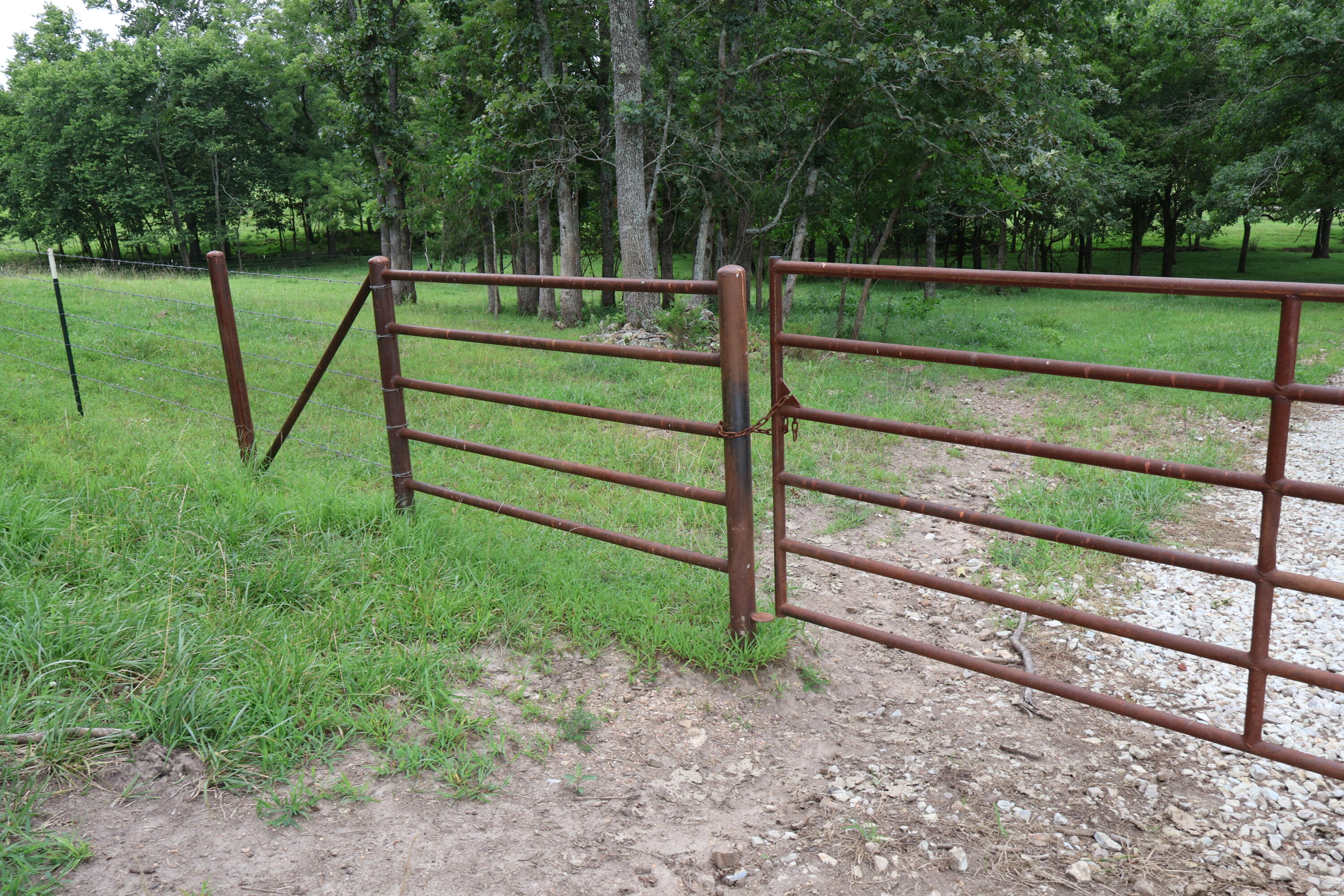 9551 State Highway Ff Property Photo 58