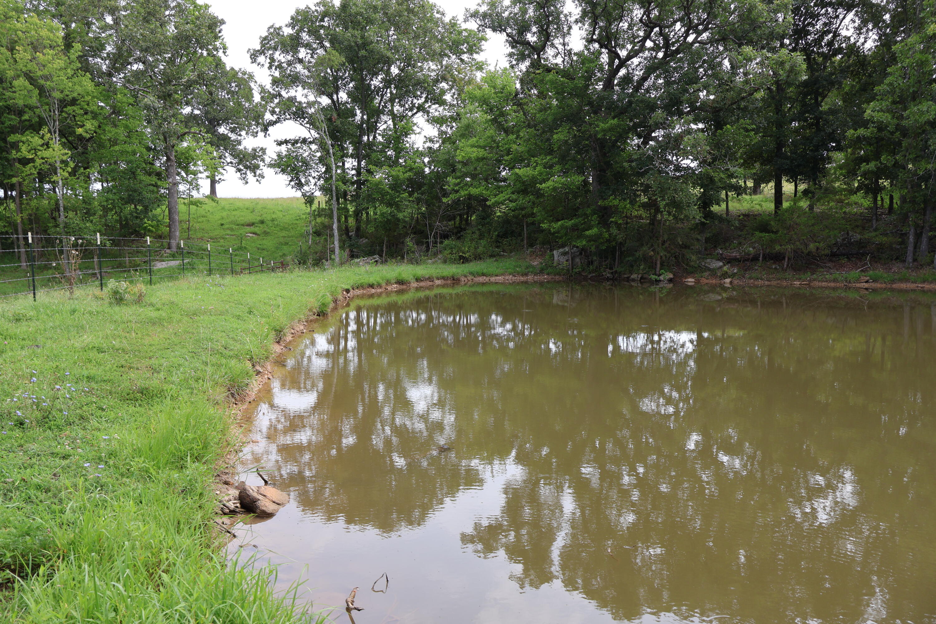 9551 State Highway Ff Property Photo 61