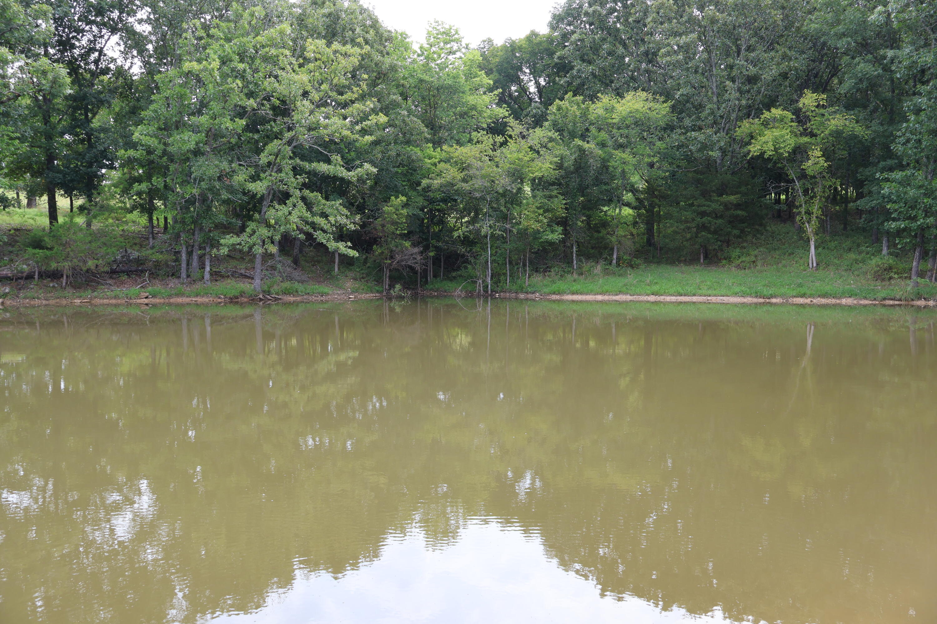 9551 State Highway Ff Property Photo 62