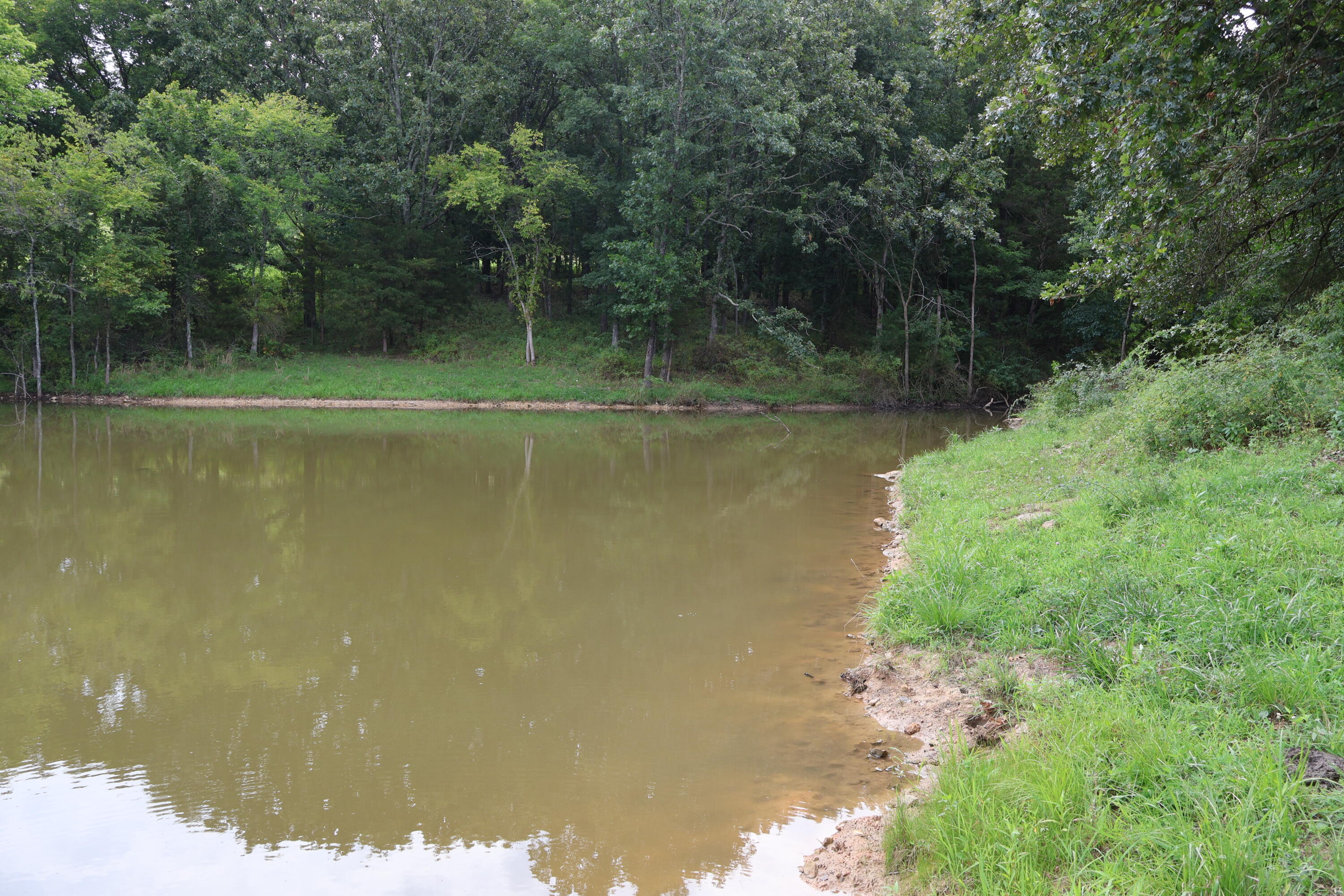9551 State Highway Ff Property Photo 63