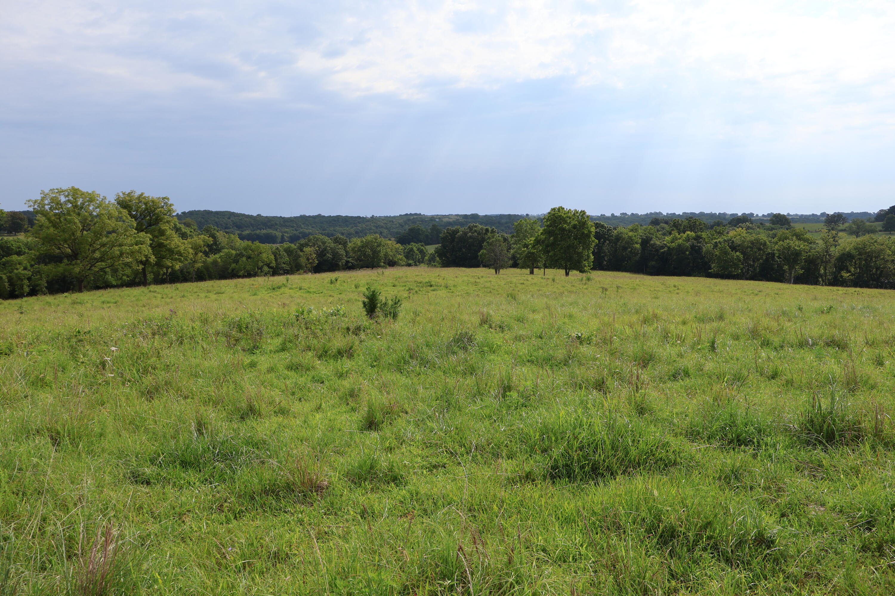 9551 State Highway Ff Property Photo 67