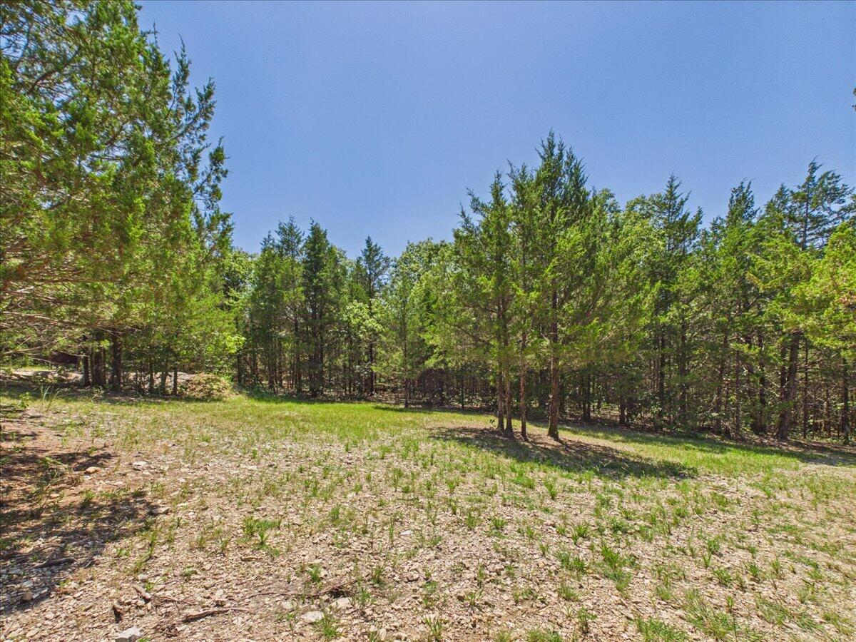 26325 State Highway Ra Property Photo 4