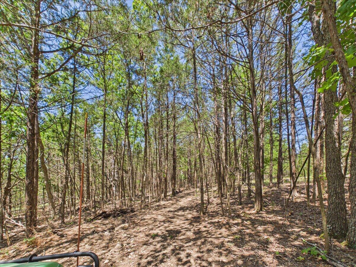 26325 State Highway Ra Property Photo 8