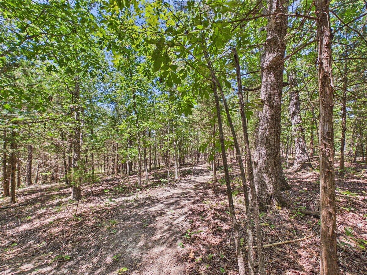 26325 State Highway Ra Property Photo 9