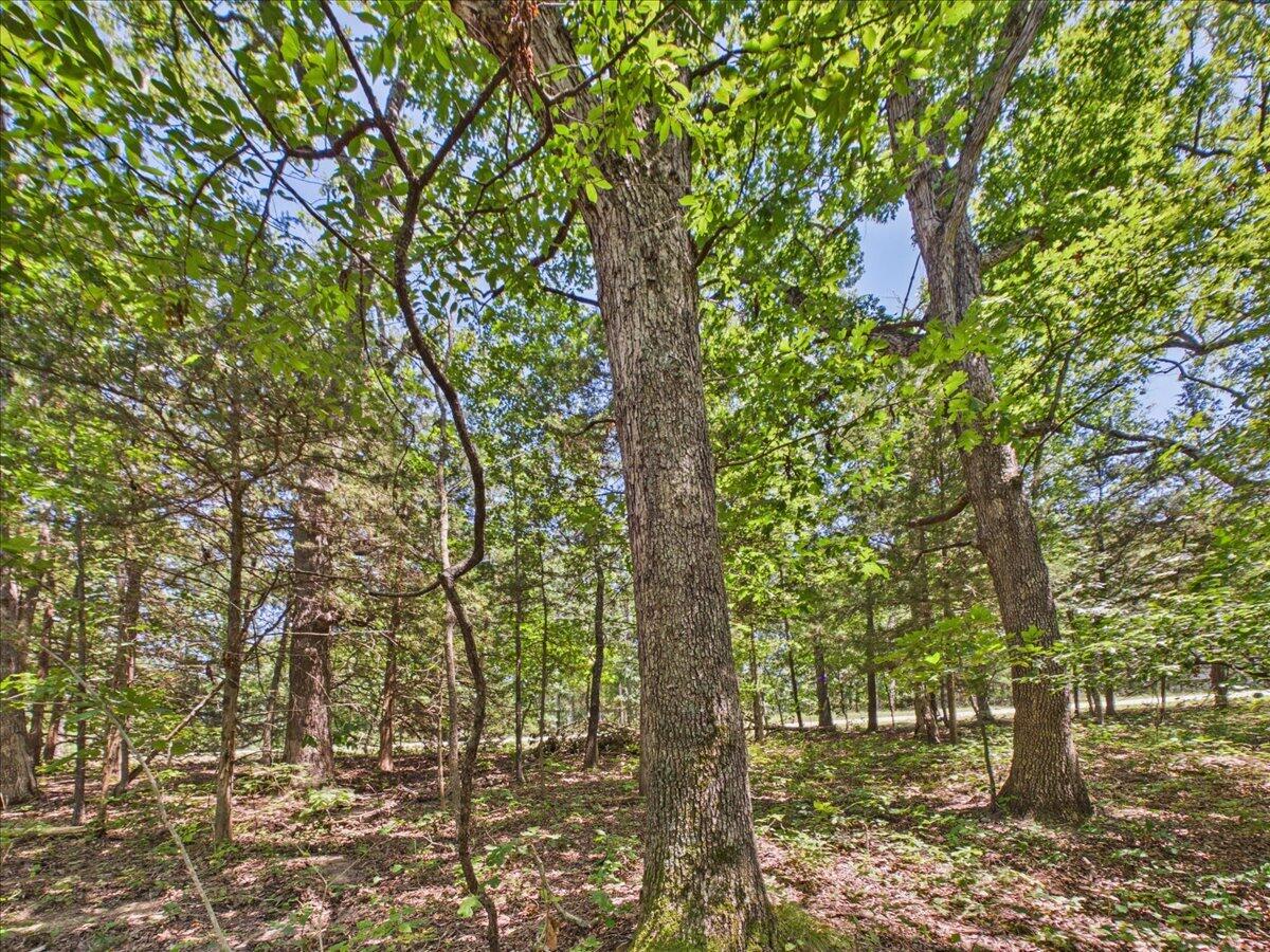 26325 State Highway Ra Property Photo 10