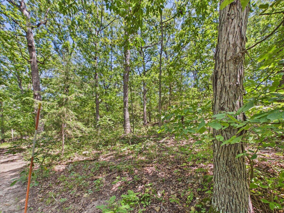 26325 State Highway Ra Property Photo 11