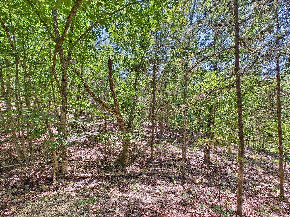 26325 State Highway Ra Property Photo 12