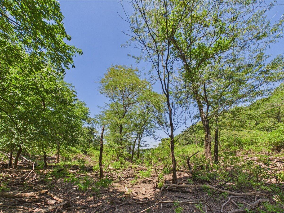 26325 State Highway Ra Property Photo 15