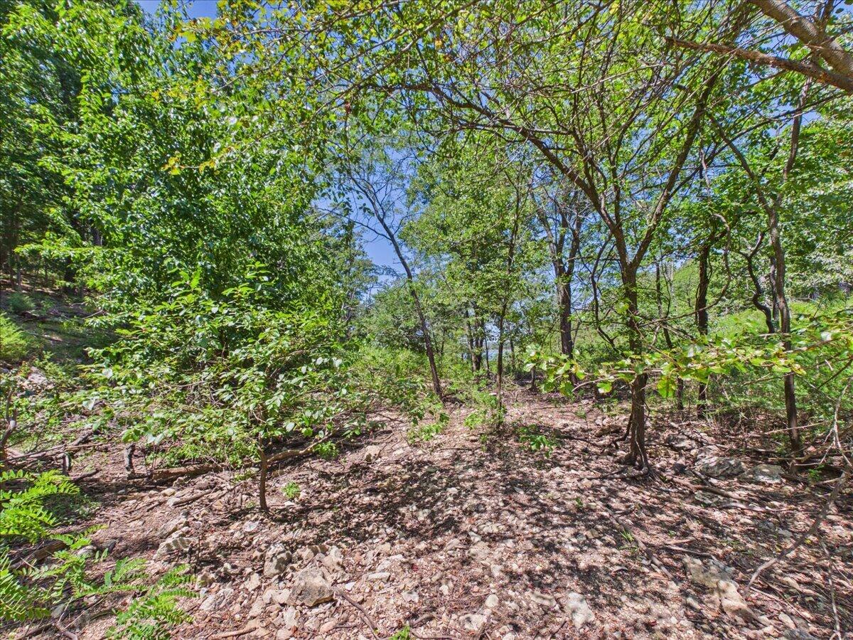 26325 State Highway Ra Property Photo 16