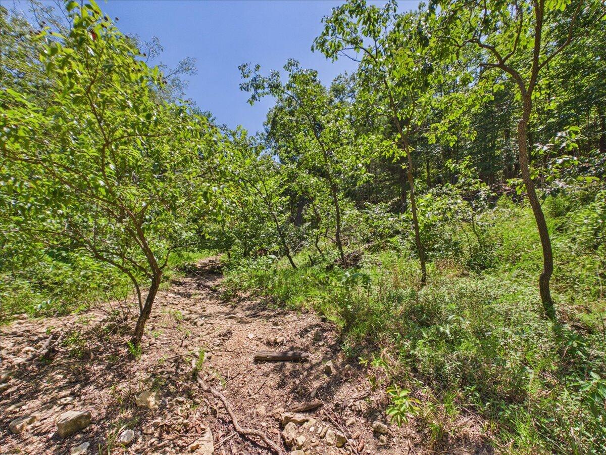 26325 State Highway Ra Property Photo 17