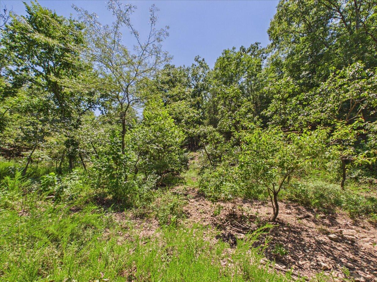 26325 State Highway Ra Property Photo 18