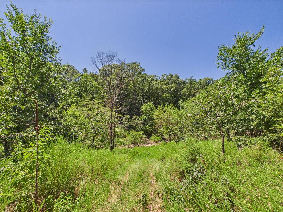 26325 State Highway Ra Property Photo 19