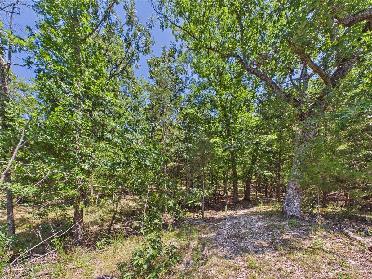 26325 State Highway Ra Property Photo 20
