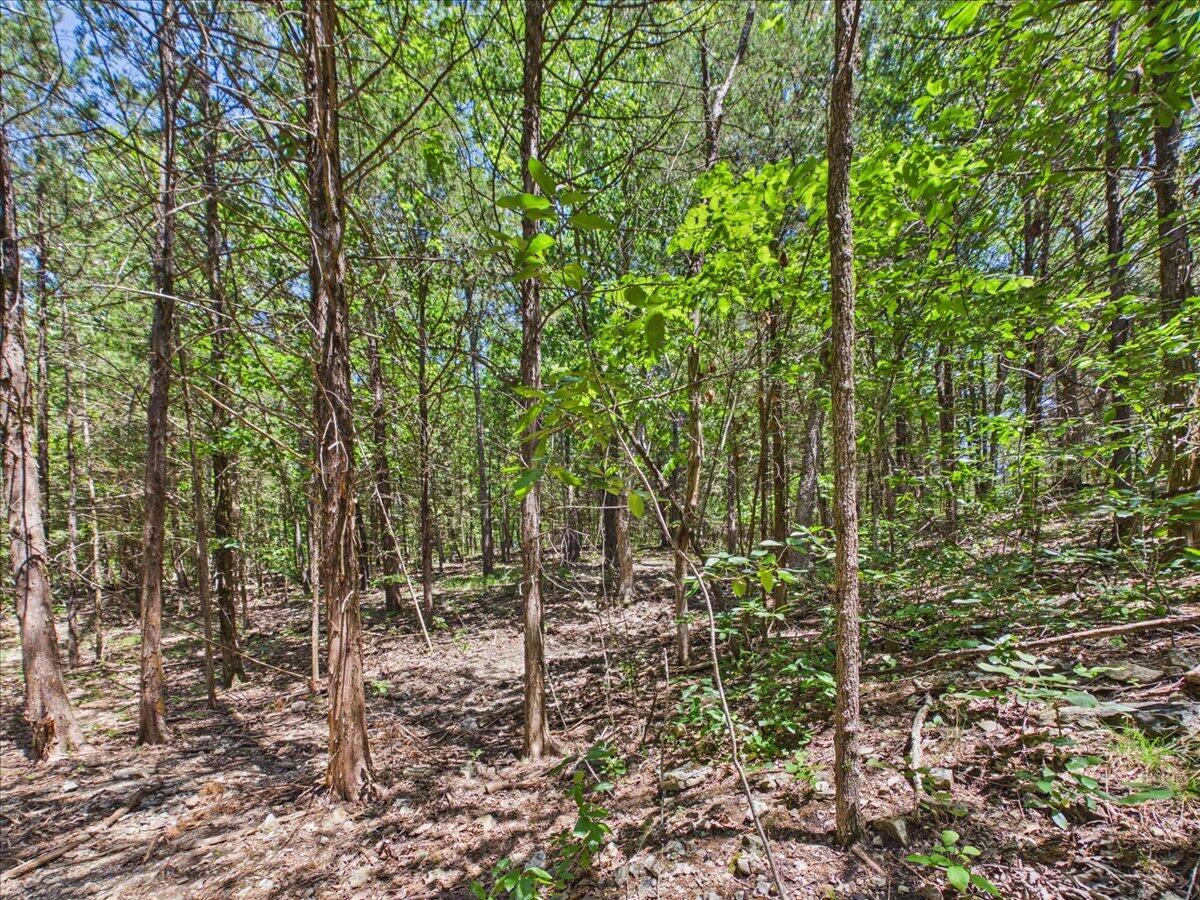 26325 State Highway Ra Property Photo 21