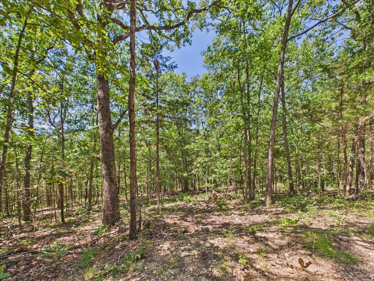 26325 State Highway Ra Property Photo 22