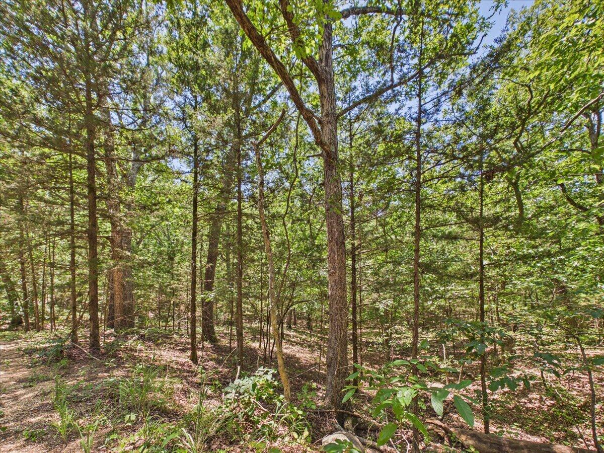 26325 State Highway Ra Property Photo 23