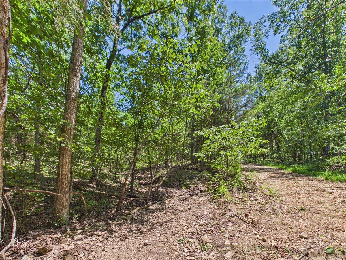 26325 State Highway Ra Property Photo 24