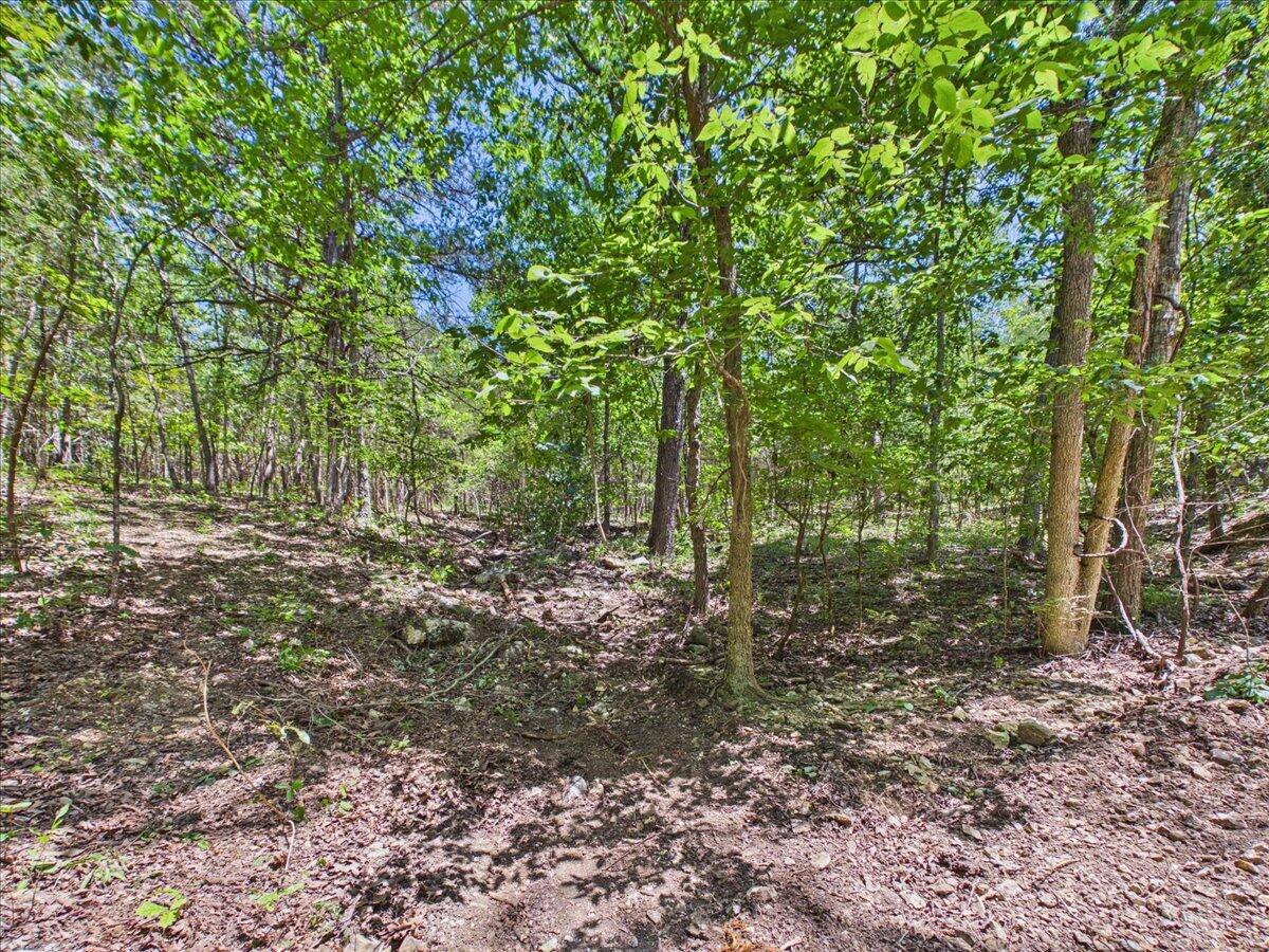 26325 State Highway Ra Property Photo 25