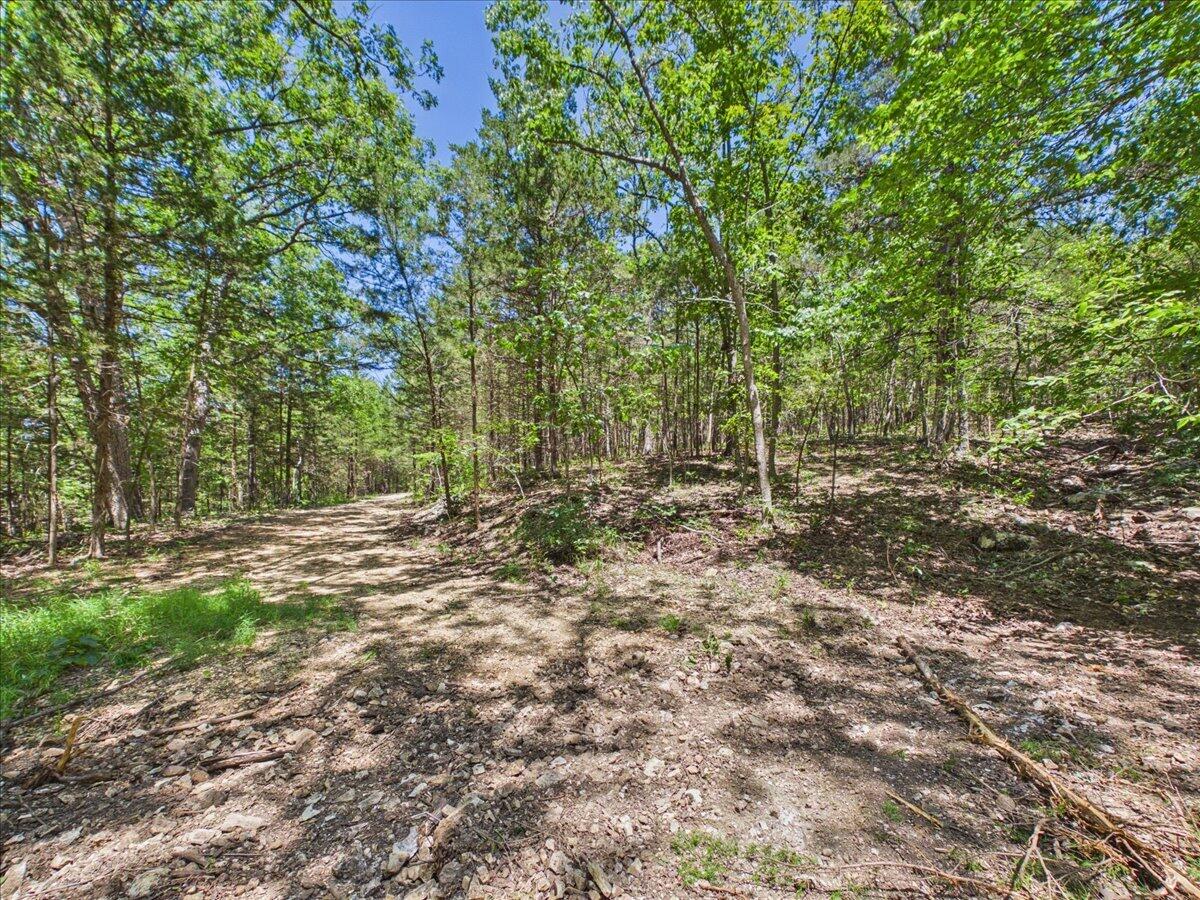 26325 State Highway Ra Property Photo 26