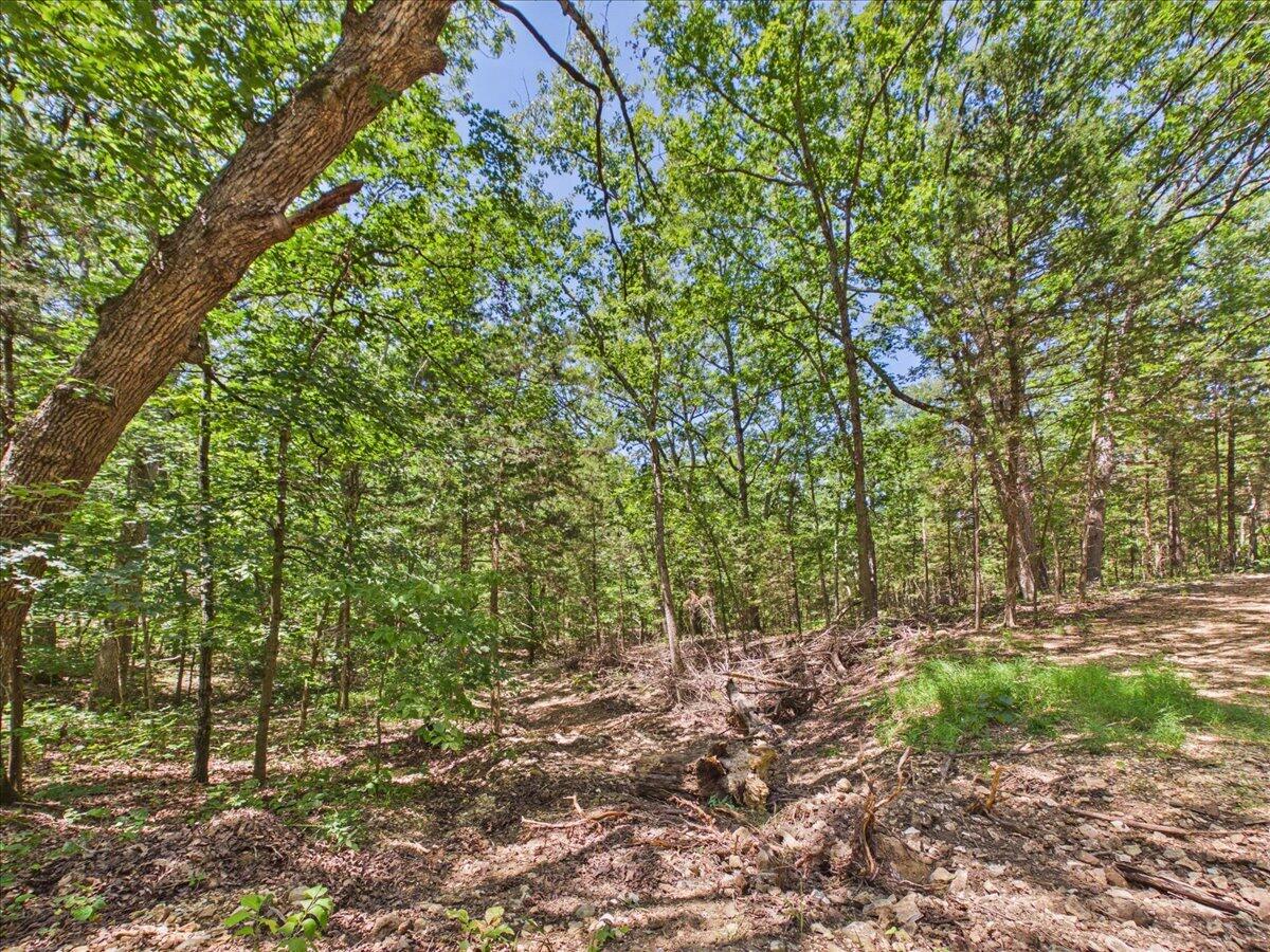 26325 State Highway Ra Property Photo 27