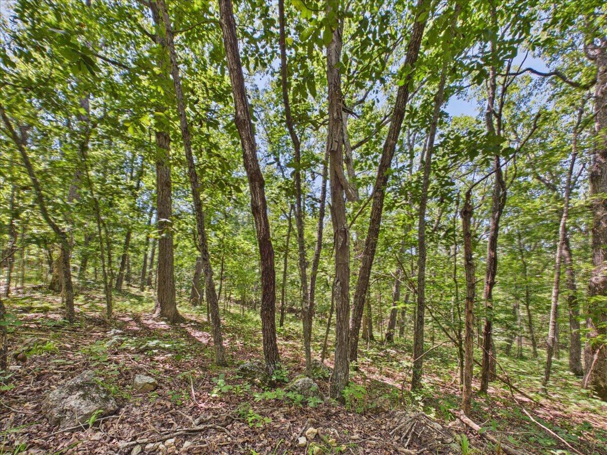 26325 State Highway Ra Property Photo 28