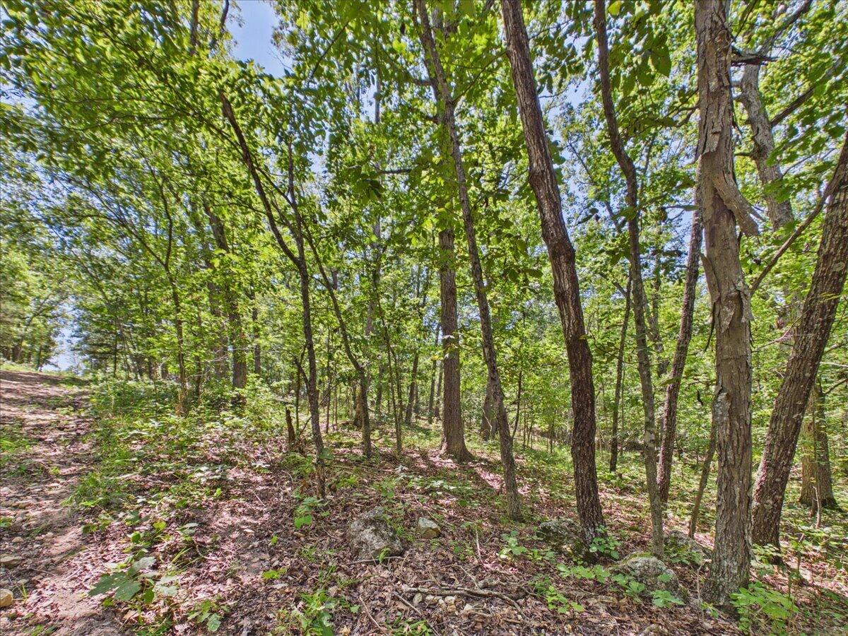 26325 State Highway Ra Property Photo 29