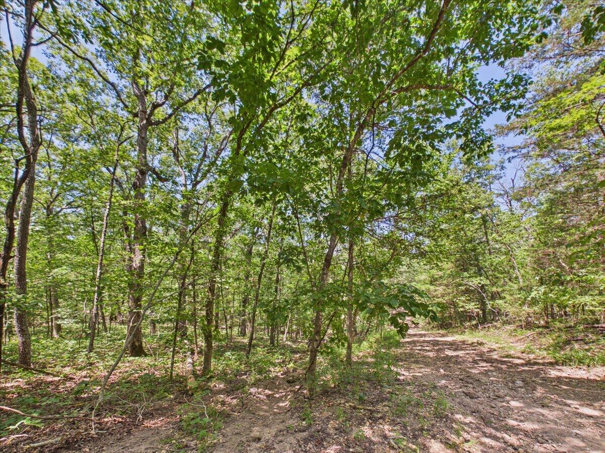 26325 State Highway Ra Property Photo 30
