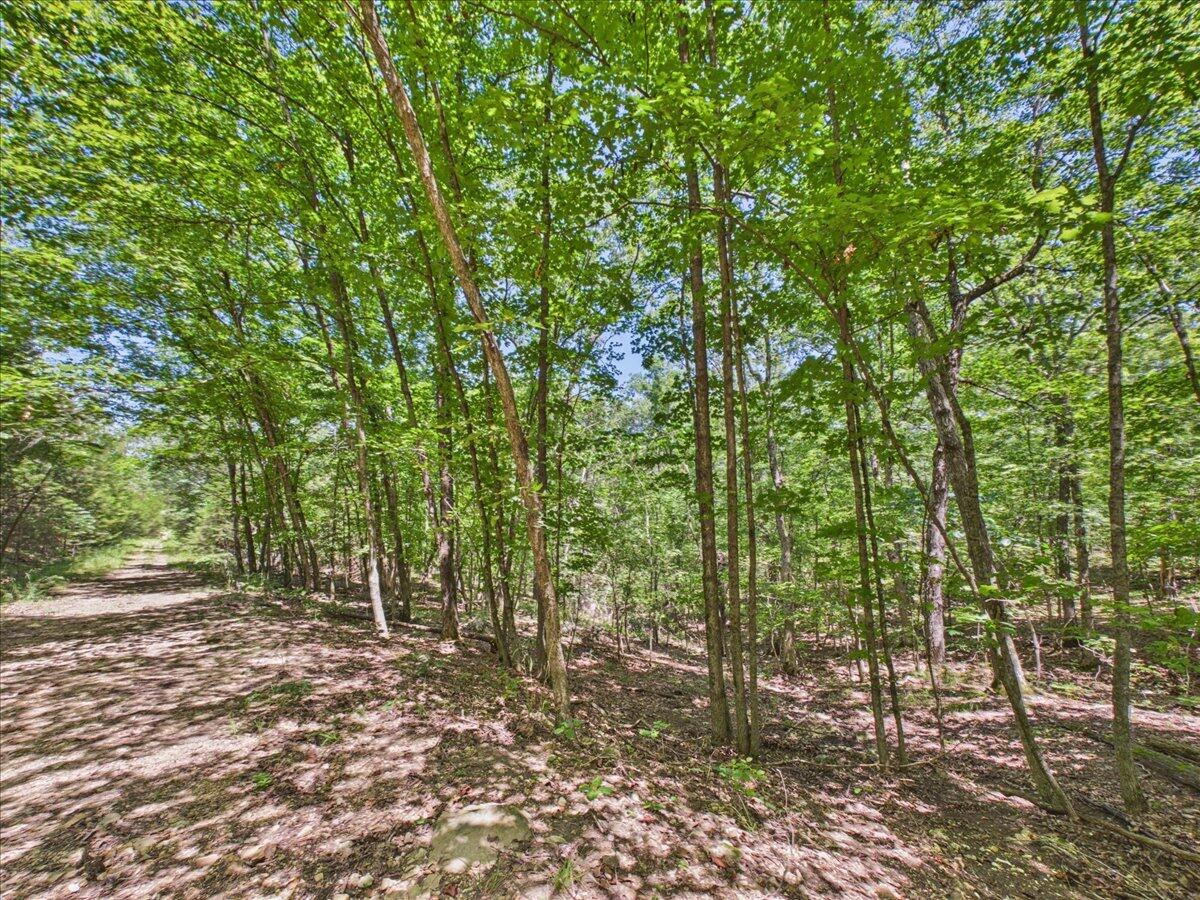 26325 State Highway Ra Property Photo 33