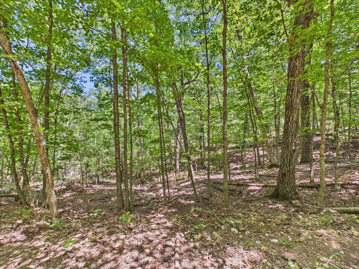 26325 State Highway Ra Property Photo 34