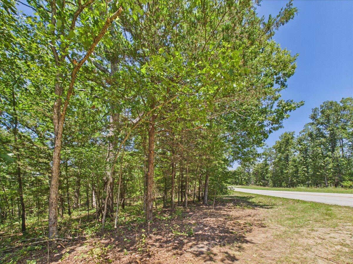 26325 State Highway Ra Property Photo 35