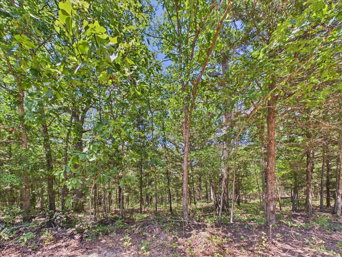 26325 State Highway Ra Property Photo 36