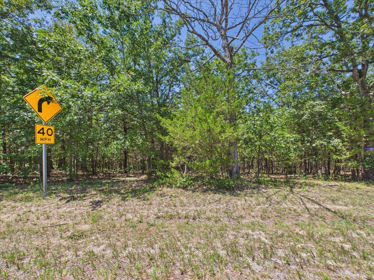 26325 State Highway Ra Property Photo 38
