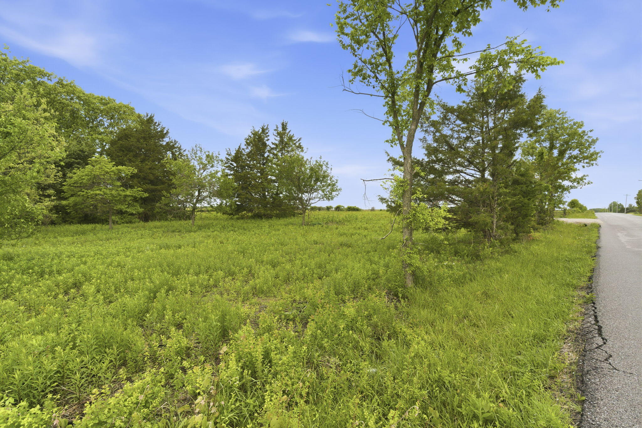 000 Chicory Road Tract 2 Property Photo 2