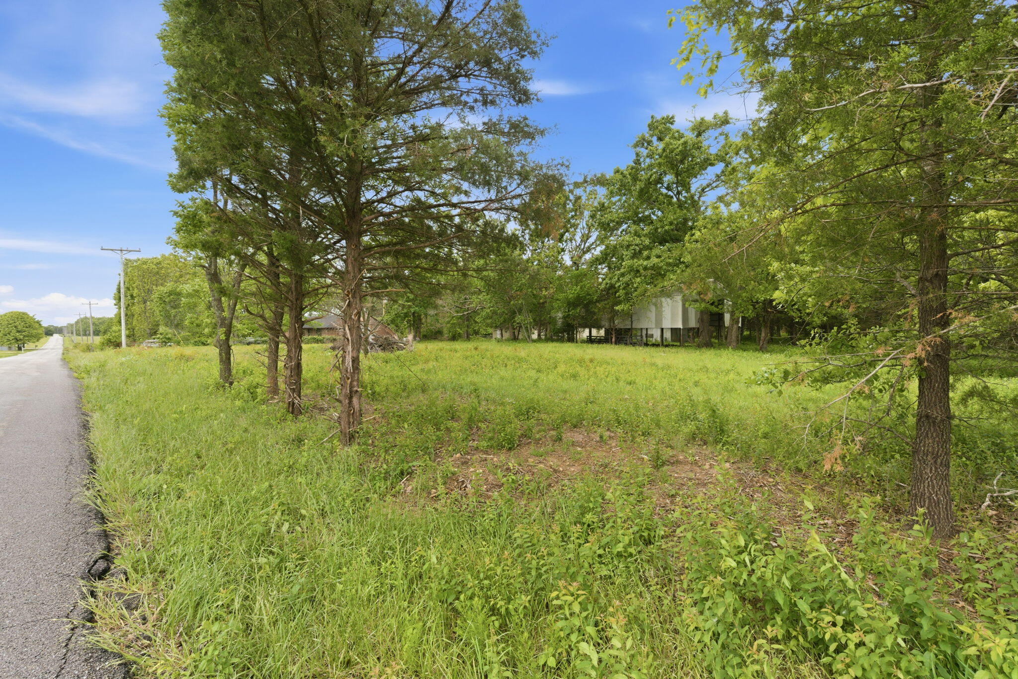 000 Chicory Road Tract 3 Property Photo 3