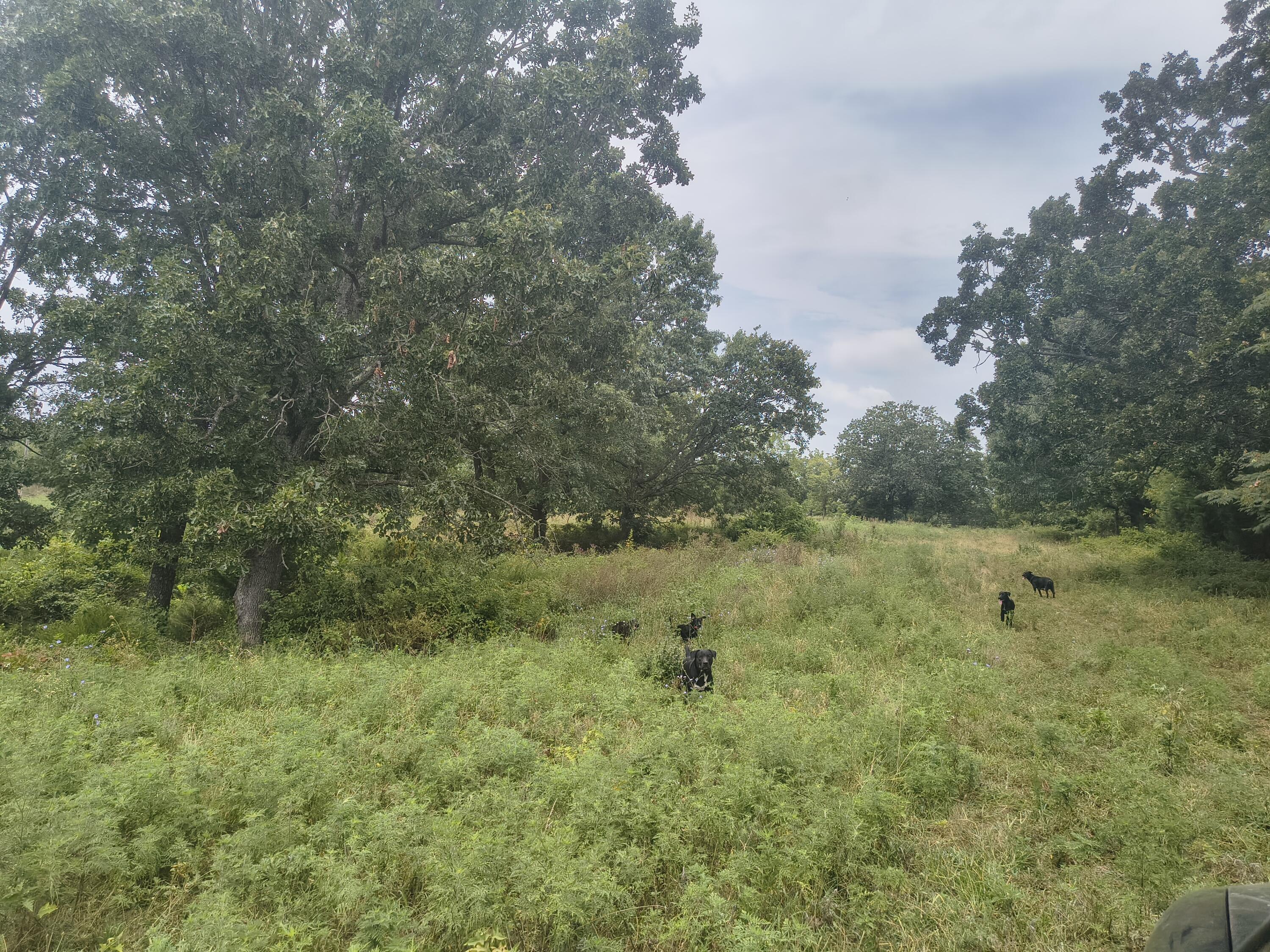 1830 Sweet Corn Drive Property Photo 1