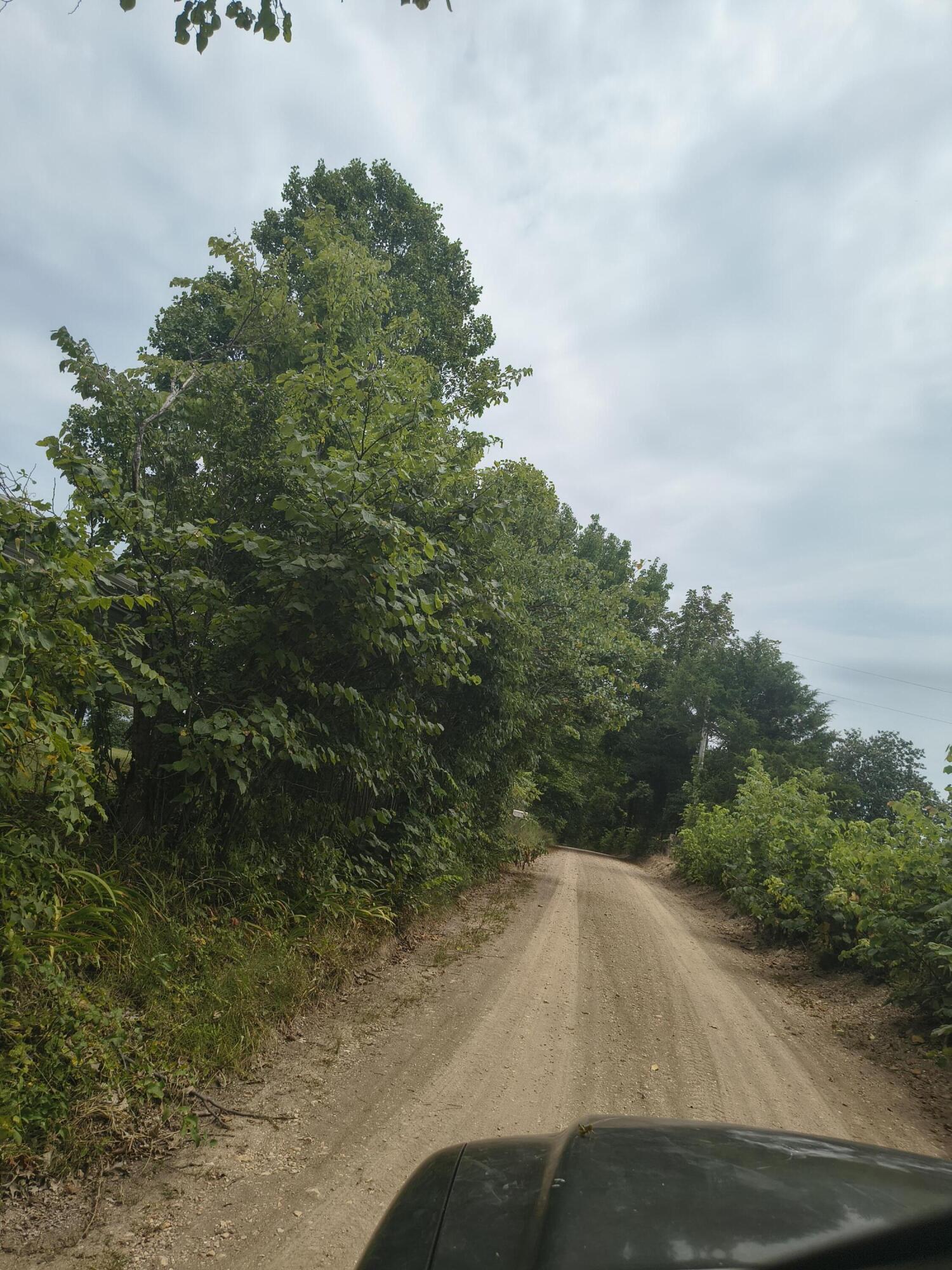 1830 Sweet Corn Drive Property Photo 2
