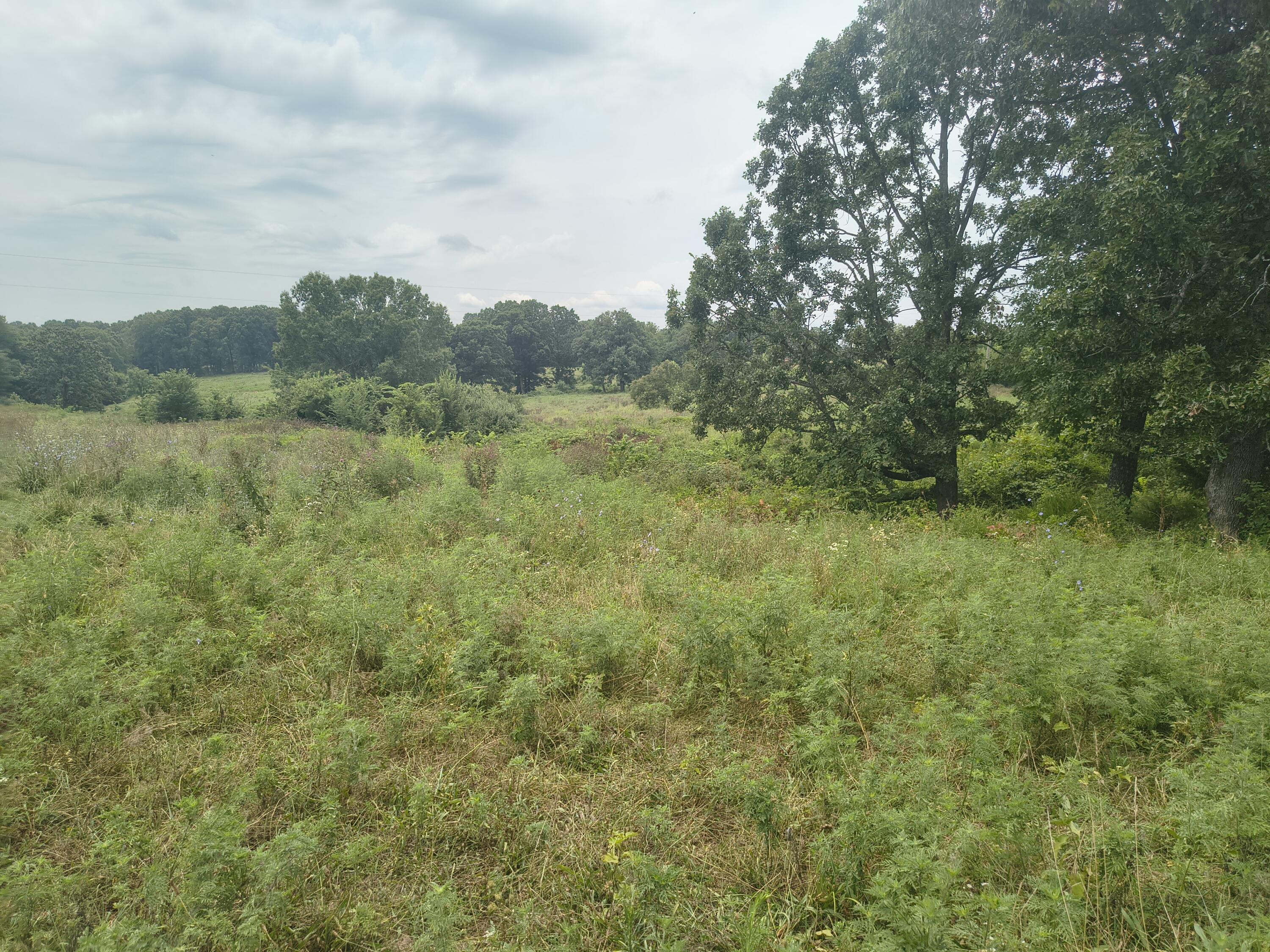 1830 Sweet Corn Drive Property Photo 3