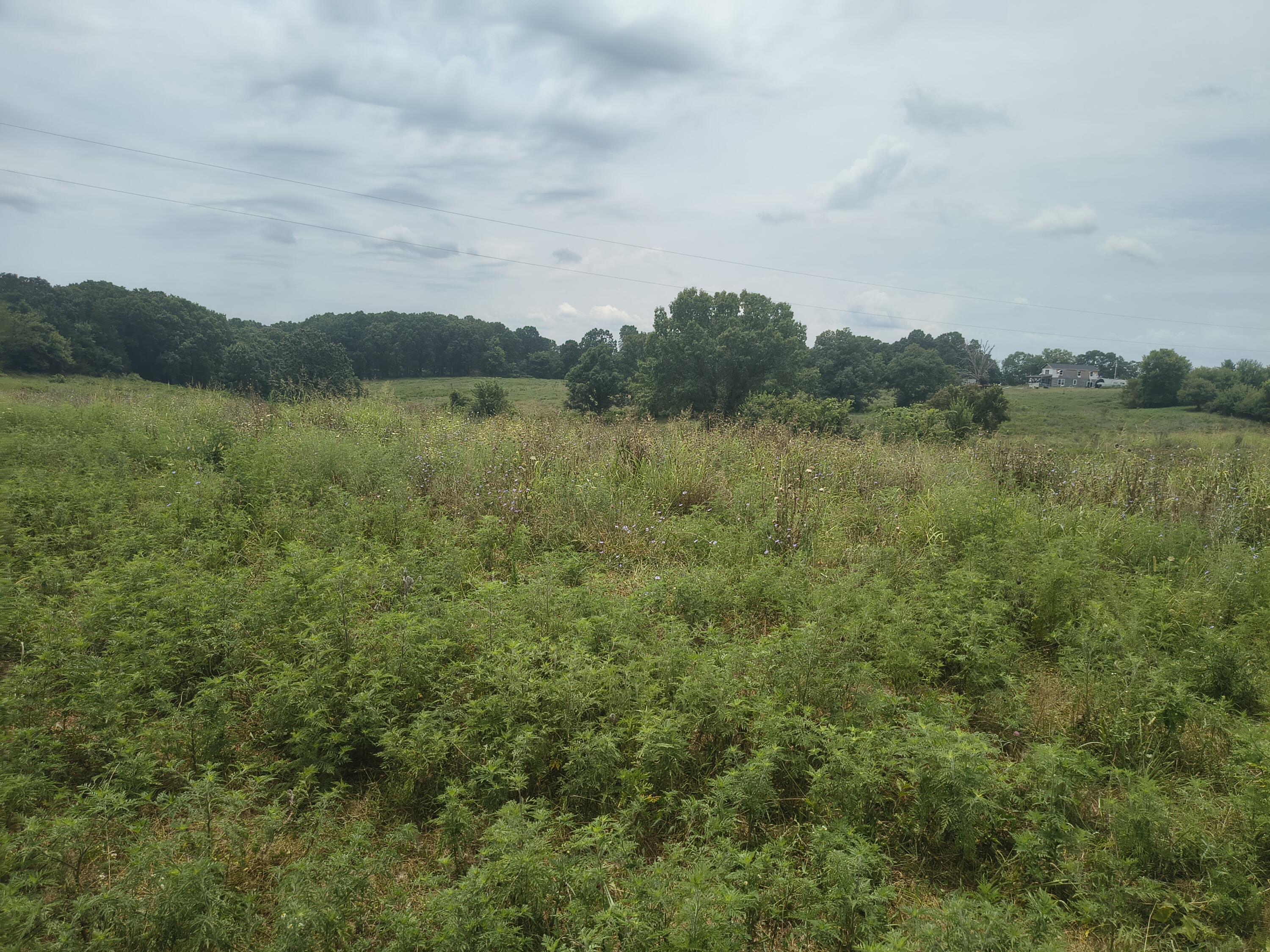 1830 Sweet Corn Drive Property Photo 4