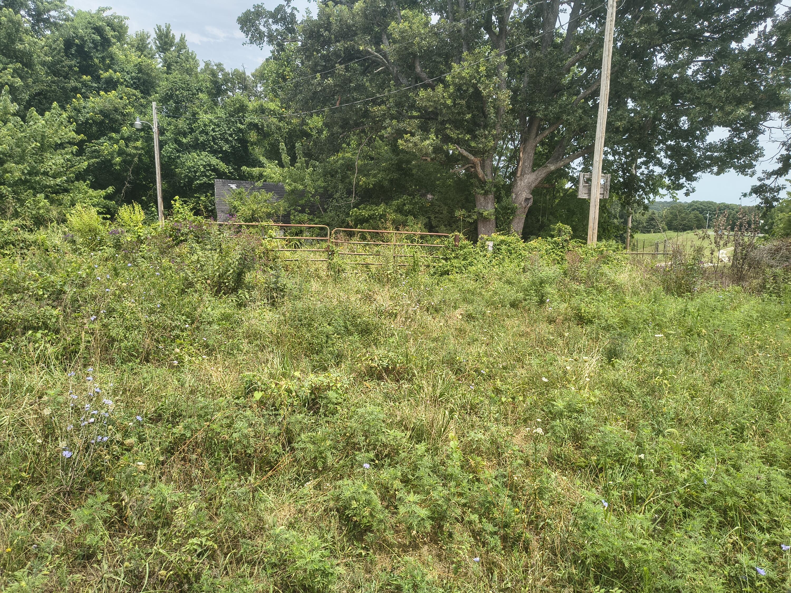 1830 Sweet Corn Drive Property Photo 7