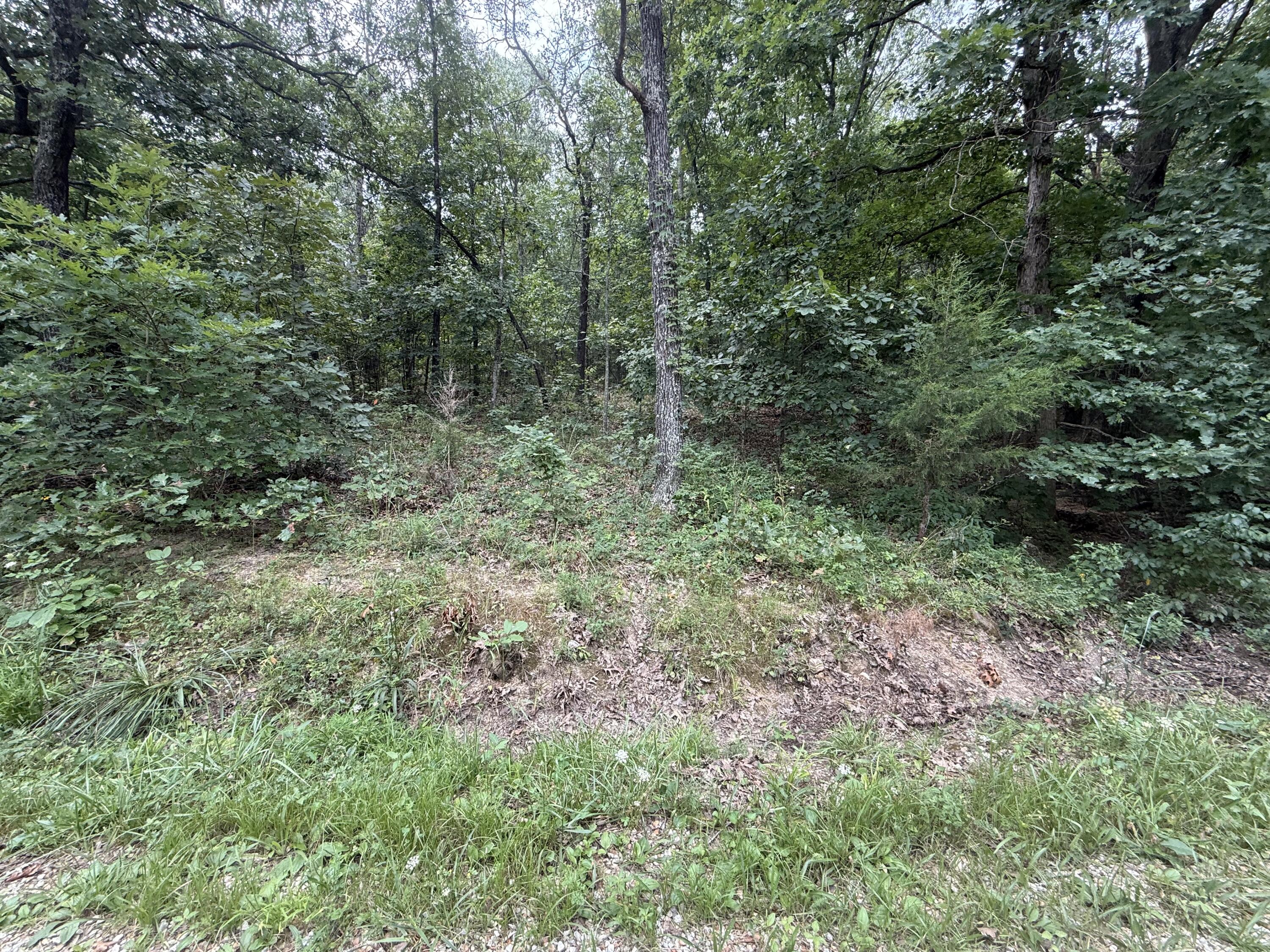 000 Paulson Drive Property Photo 3