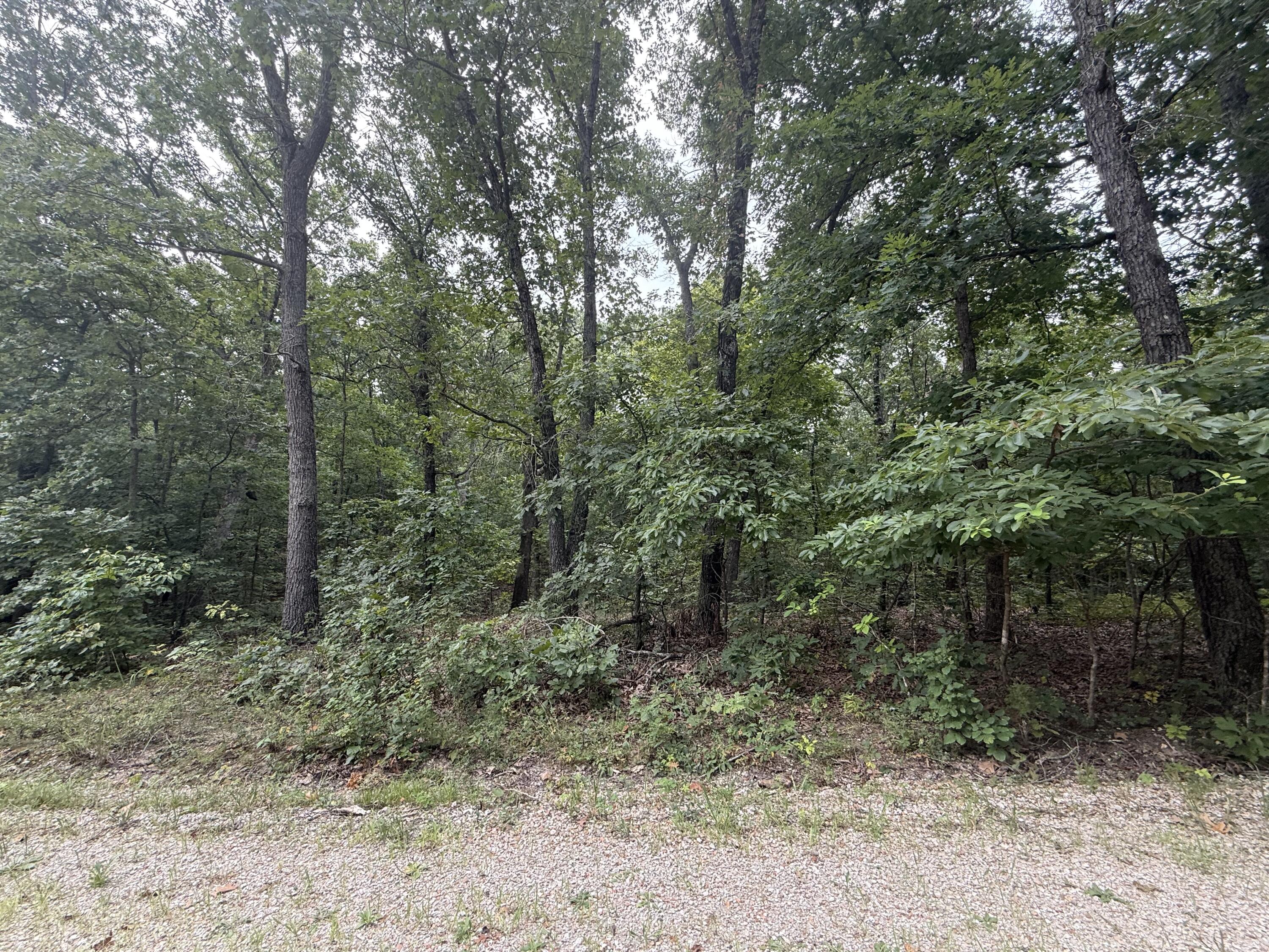 000 Paulson Drive Property Photo 12