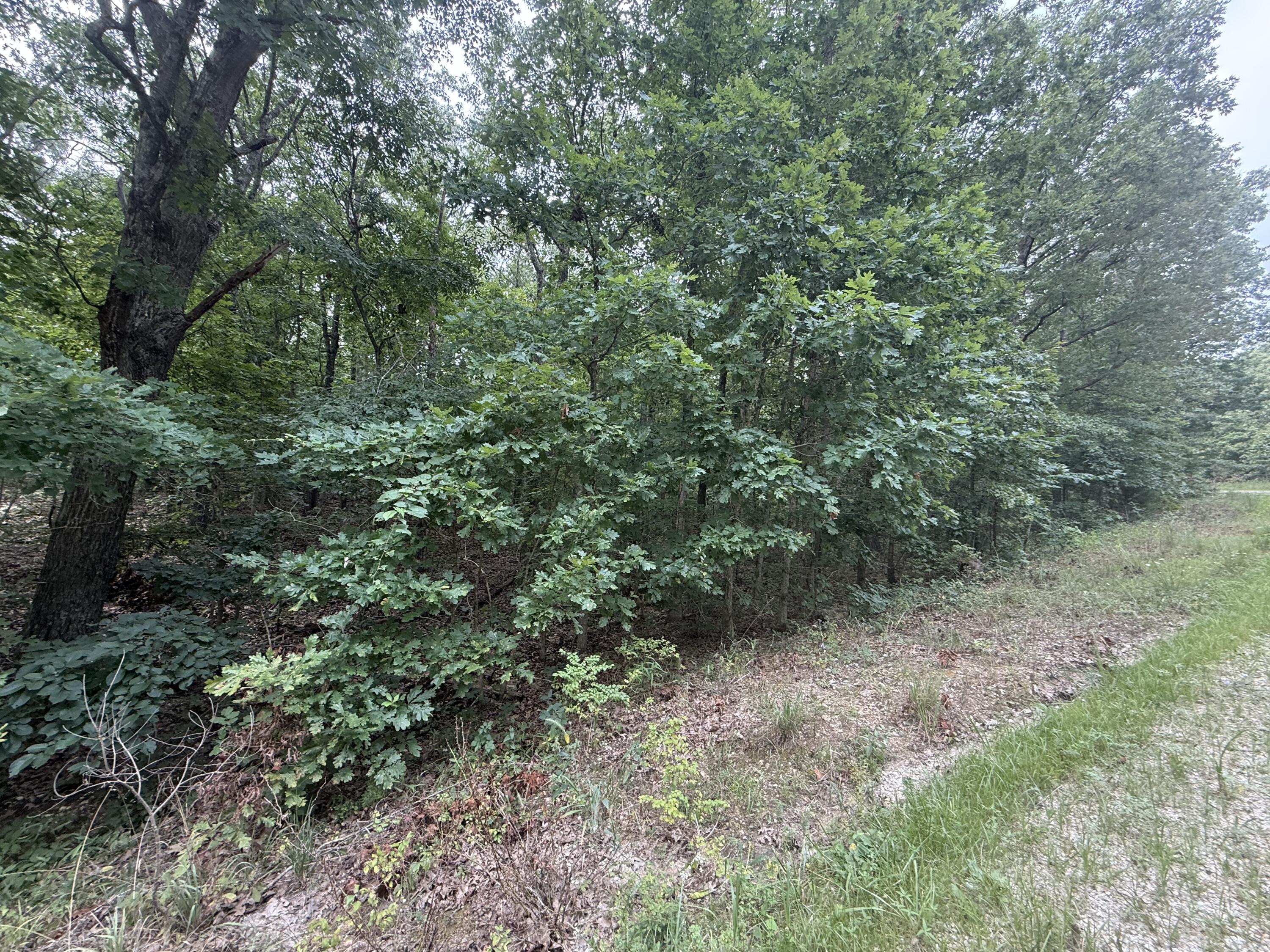 000 Paulson Drive Property Photo 13