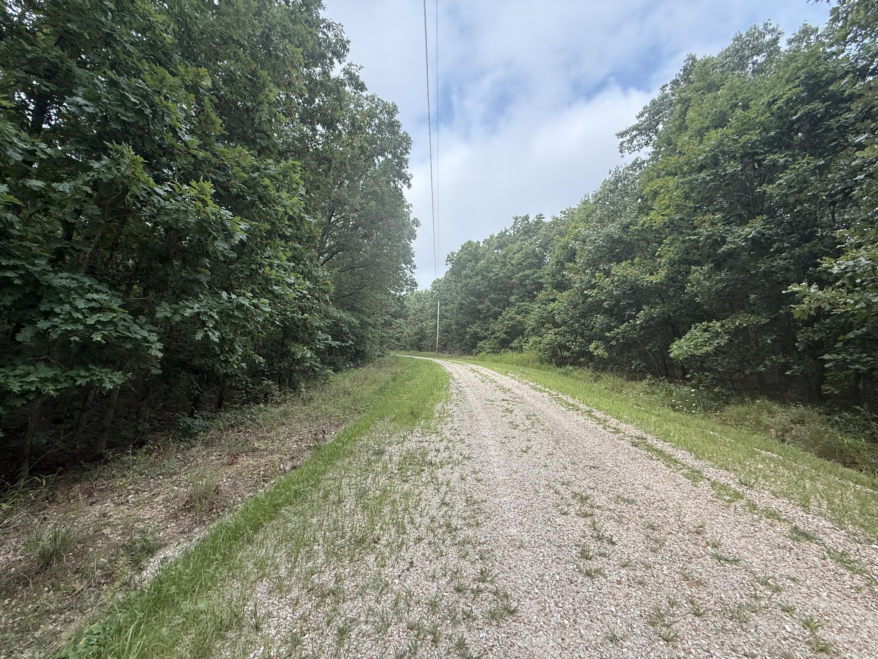 000 Paulson Drive Property Photo 14