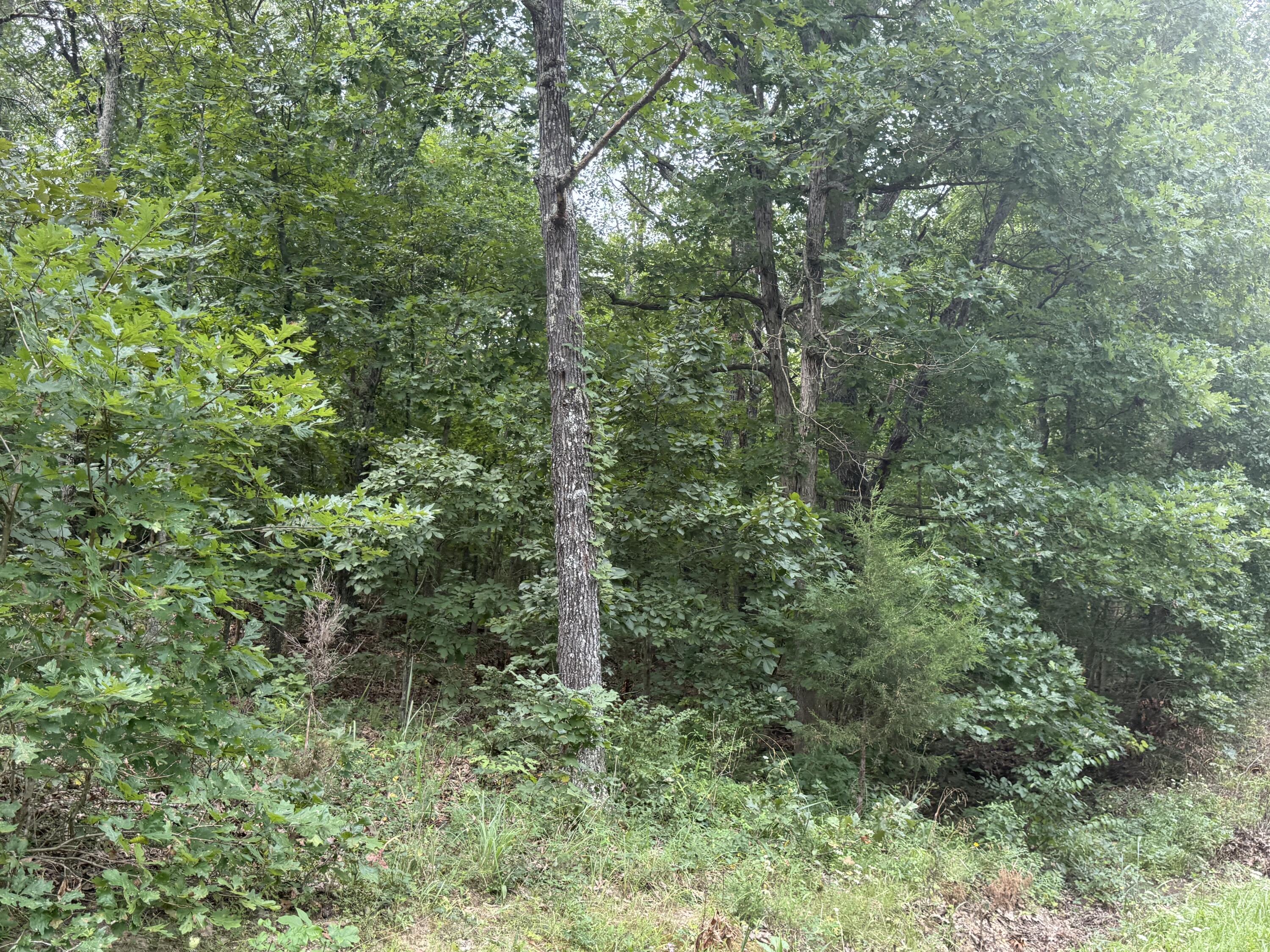 000 Paulson Drive Property Photo 15