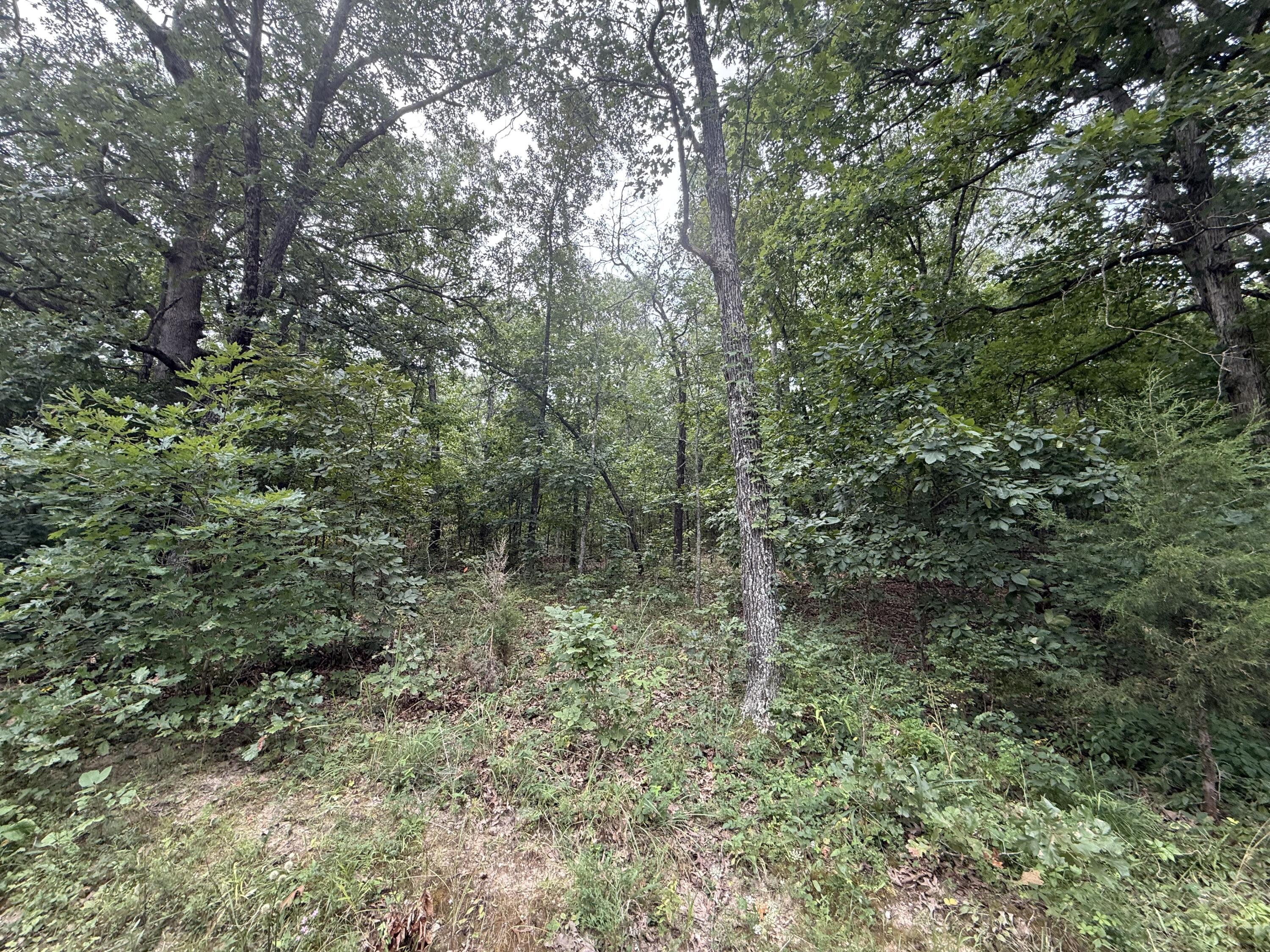 000 Paulson Drive Property Photo 16