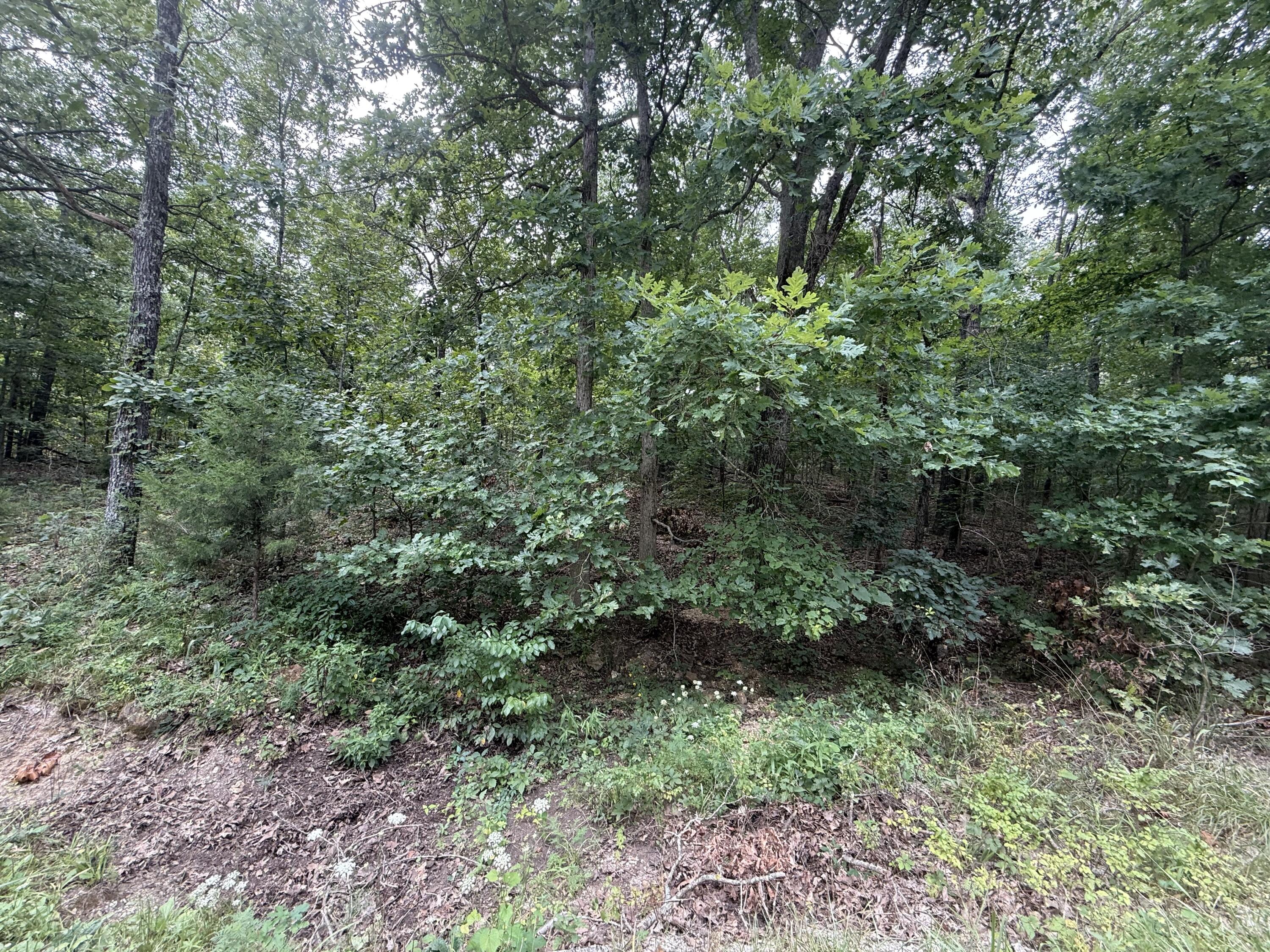 000 Paulson Drive Property Photo 17