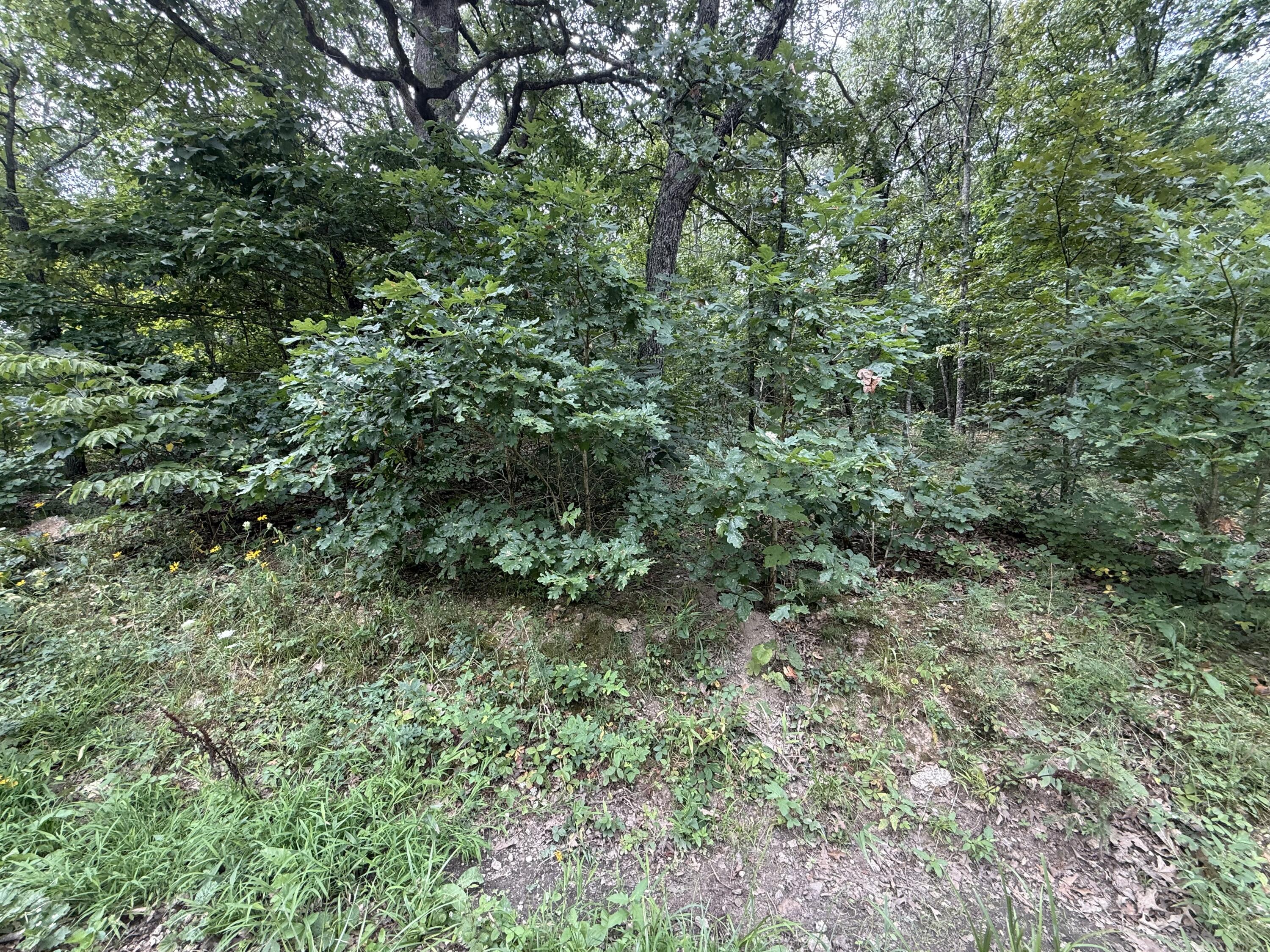 000 Paulson Drive Property Photo 18