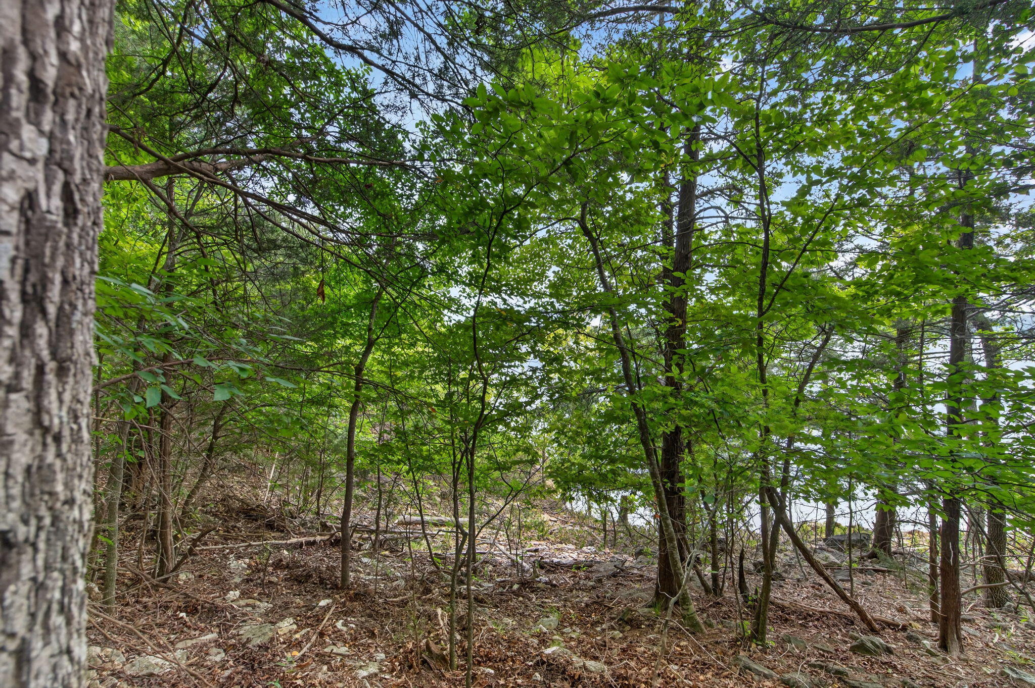 000 Alyeska Point Road 000 Property Photo 20