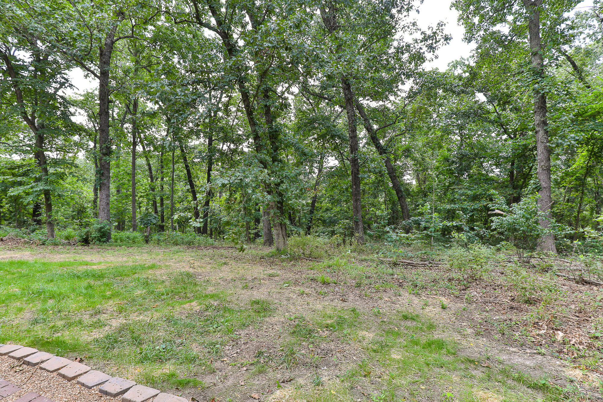 390 Dogwood Ridge Property Photo 35